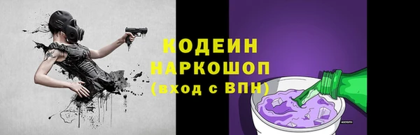 мдпв Вяземский