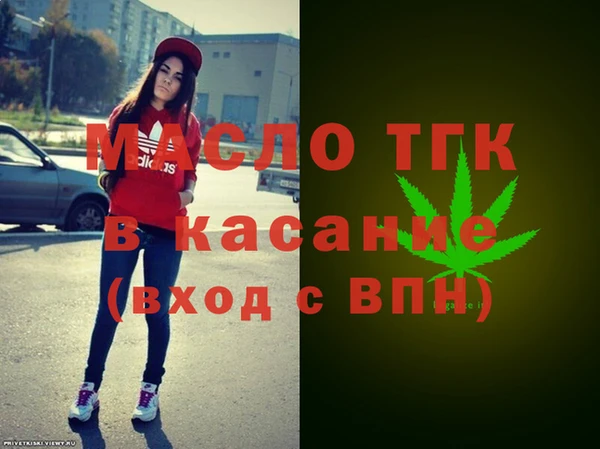 мдпв Вяземский