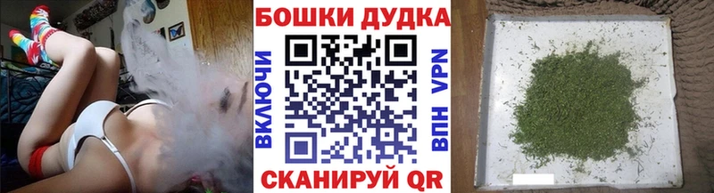 Купить где  Козьмодемьянск  Каннабис сатива 